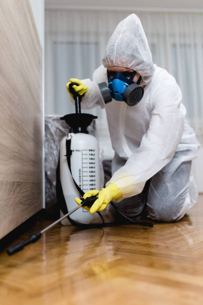 Emergency Pest Control Services in Exton, PA